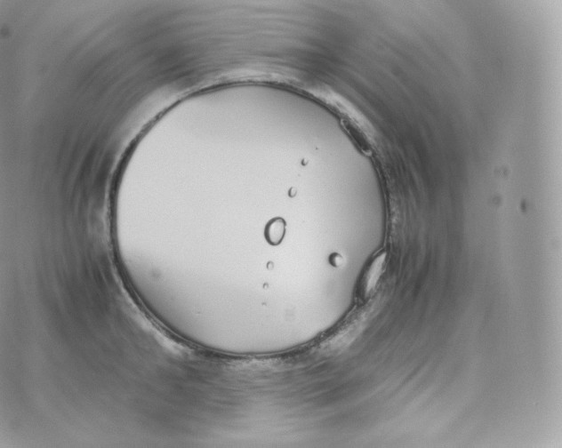 X0000070380902200606301918