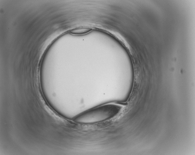 X0000070380903200606301918