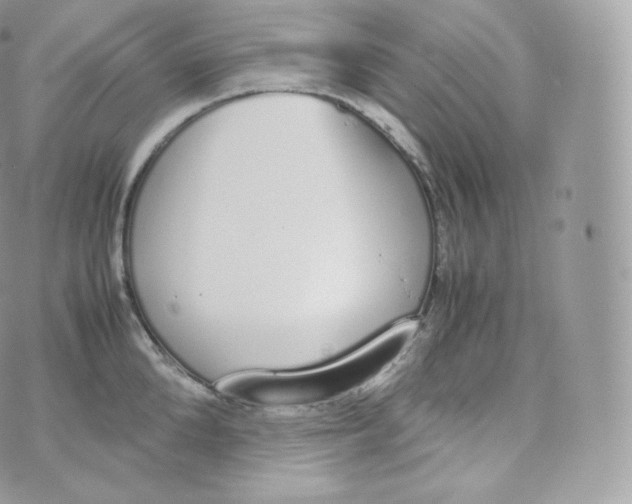 X0000070380904200606301918