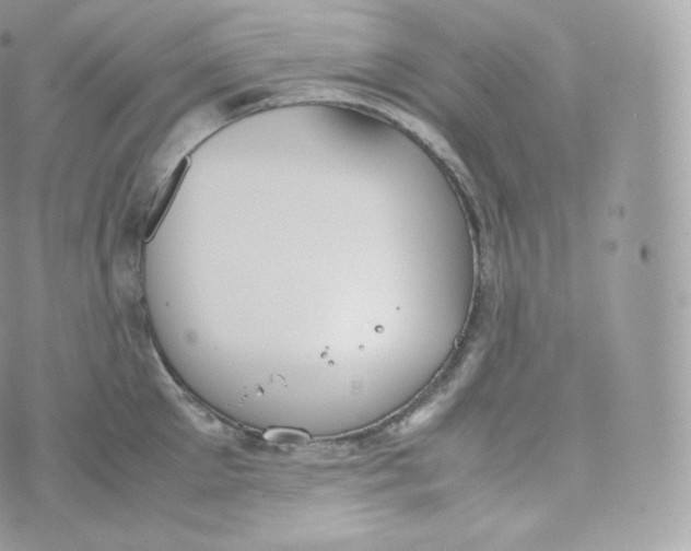 X0000070380905200606301918