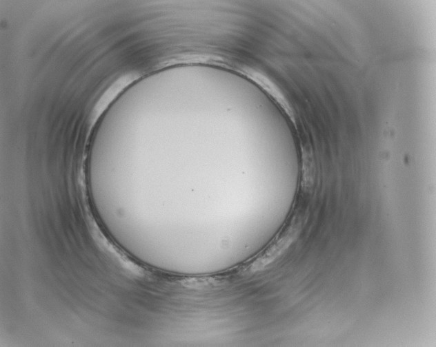 X0000070380906200606301918