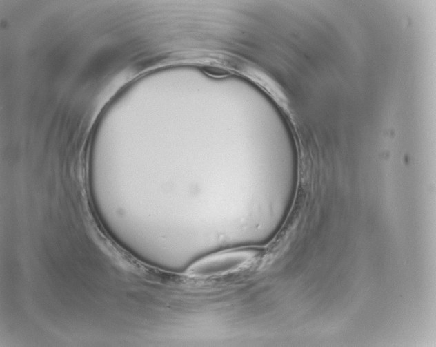 X0000070380907200606301918