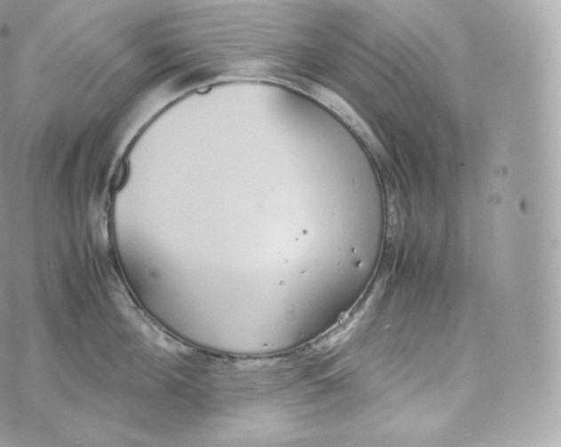 X0000070380908200606301918