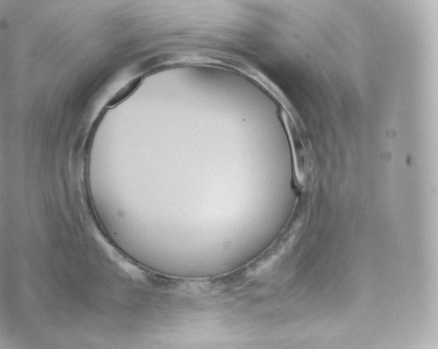 X0000070380909200606301918