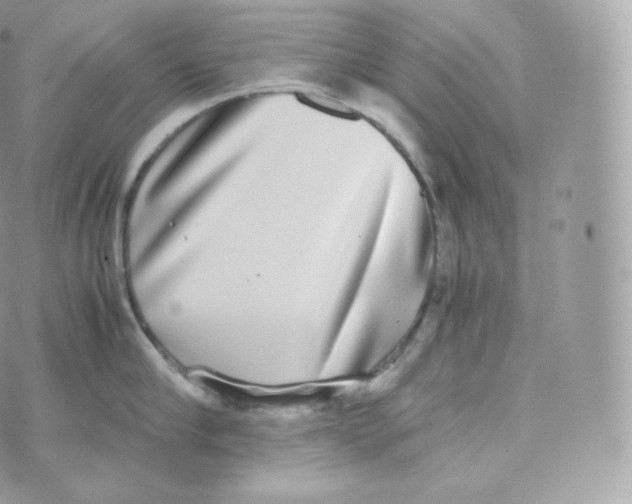 X0000070380910200606301918