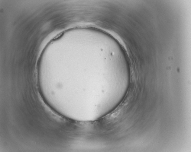 X0000070380911200606301918