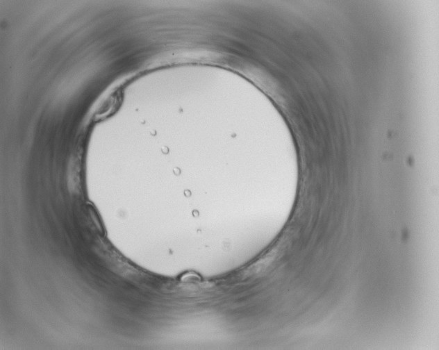 X0000070380912200606301918