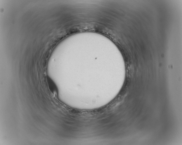 X0000070380913200606301917