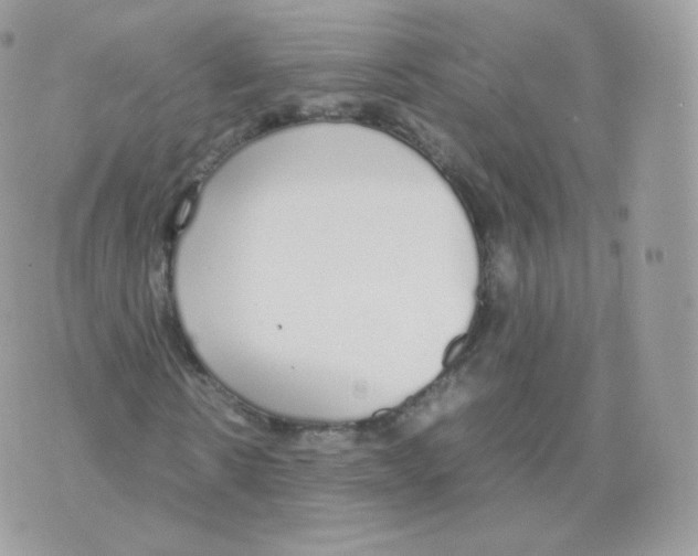 X0000070380914200606301917