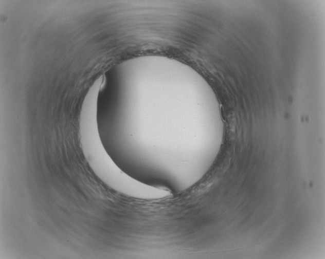 X0000070380916200606301917