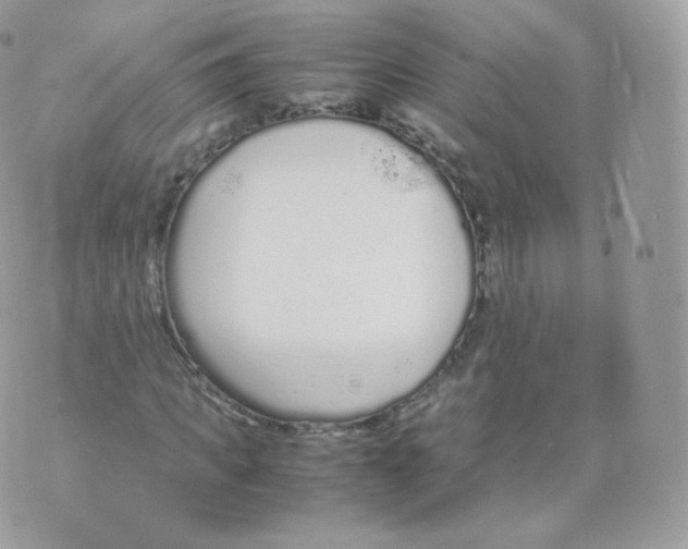 X0000070380917200606301917