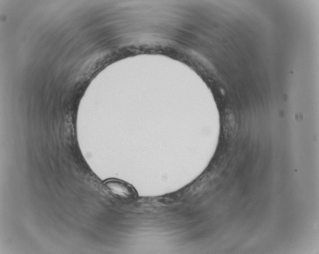 X0000070380918200606301917