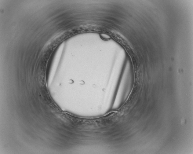 X0000070380919200606301917