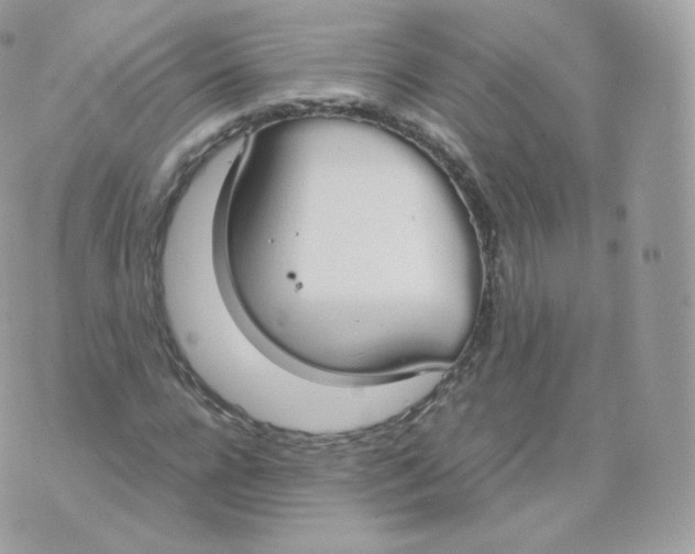 X0000070380920200606301917