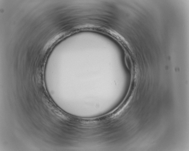 X0000070380921200606301917