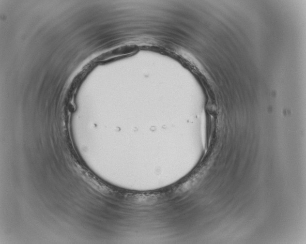 X0000070380923200606301917