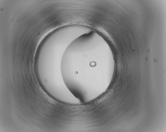 X0000070380924200606301917