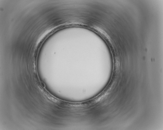 X0000070380925200606301917