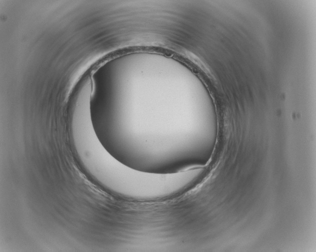 X0000070380926200606301917