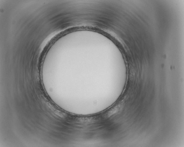 X0000070380927200606301917