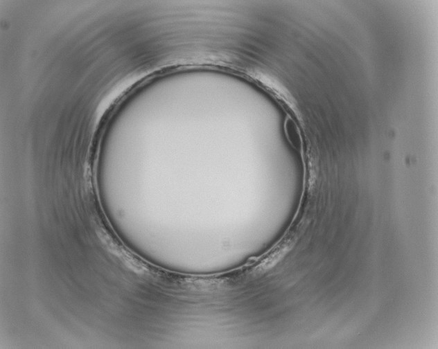 X0000070380928200606301917