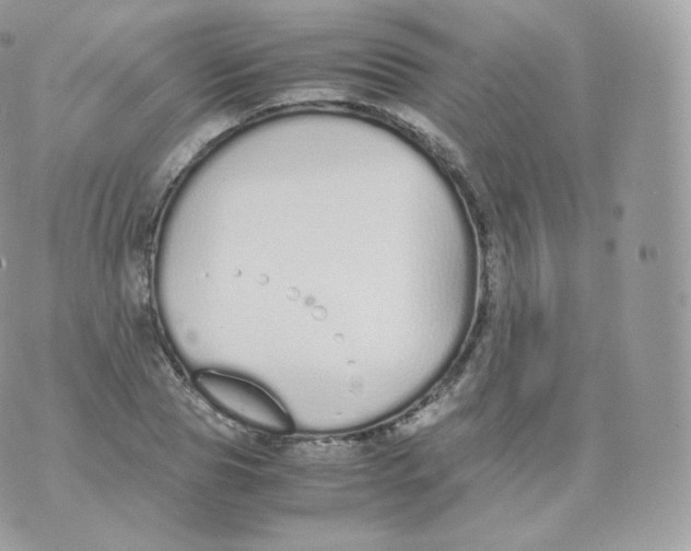 X0000070380929200606301917