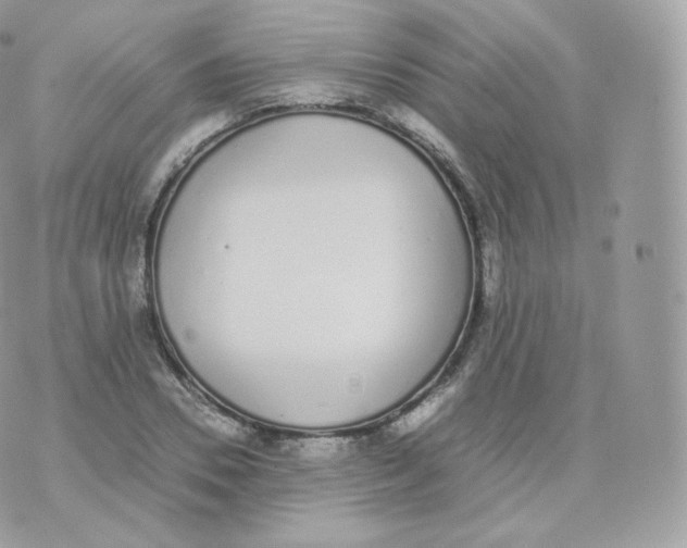 X0000070380930200606301917