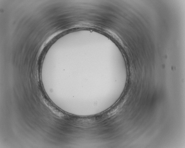 X0000070380931200606301918