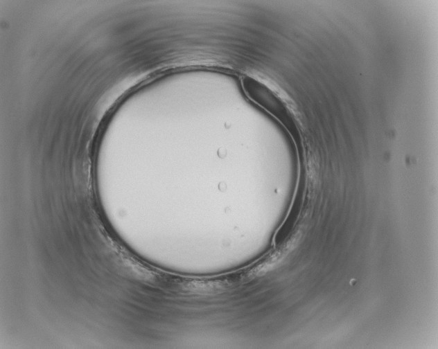 X0000070380933200606301918