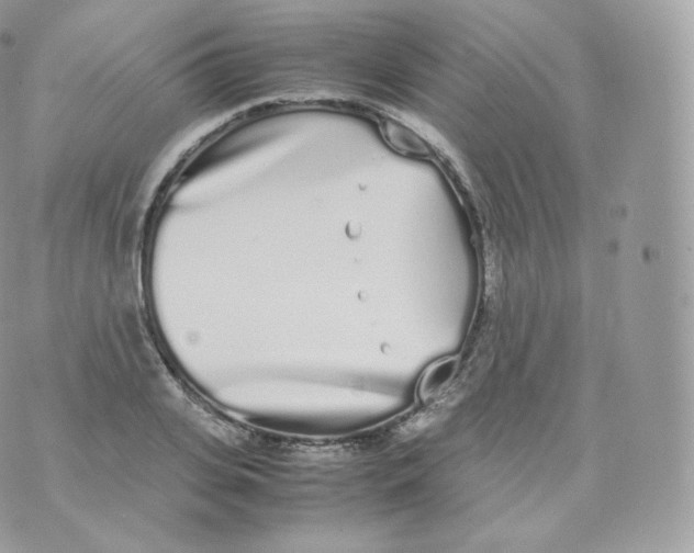 X0000070380935200606301918