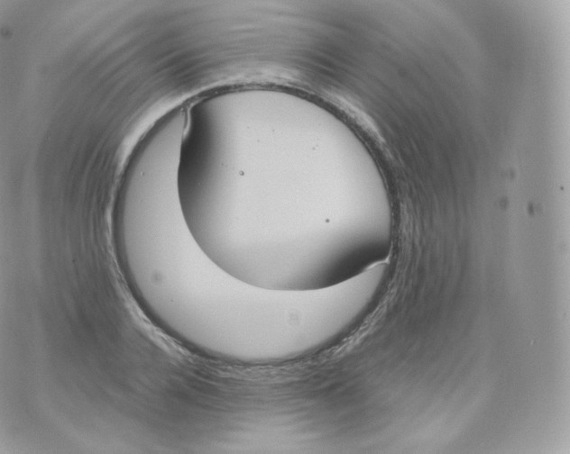 X0000070380936200606301918