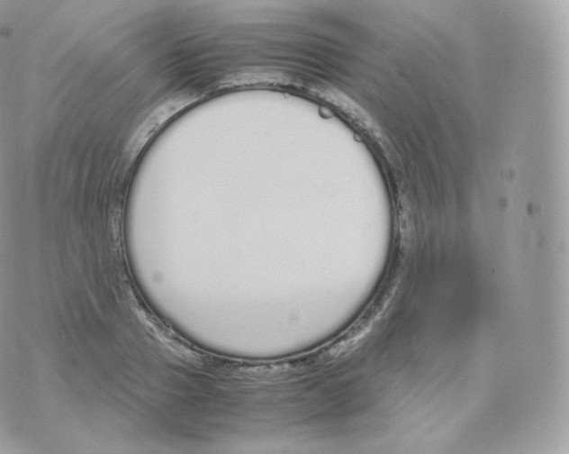 X0000070380937200606301918