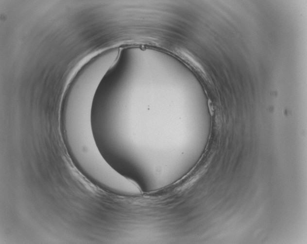 X0000070380940200606301918