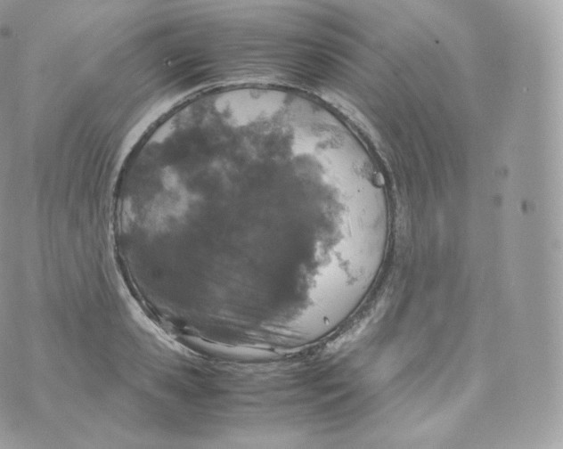 X0000070380941200606301918