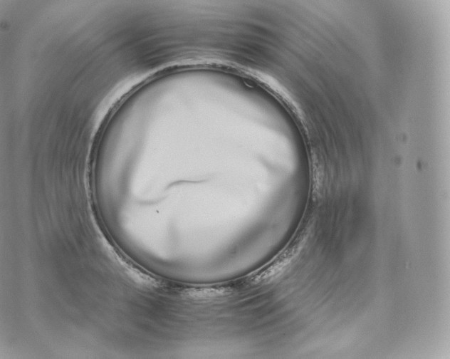 X0000070380943200606301918