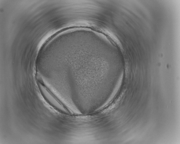 X0000070380944200606301918