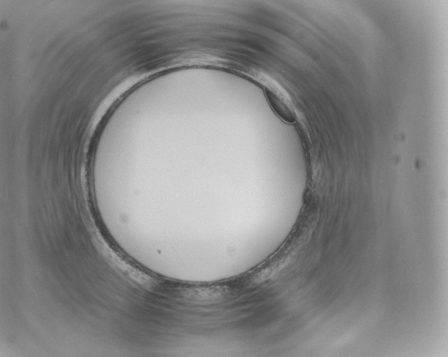 X0000070380947200606301918