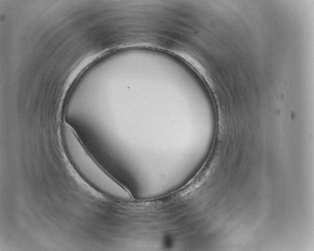 X0000070380949200606301918