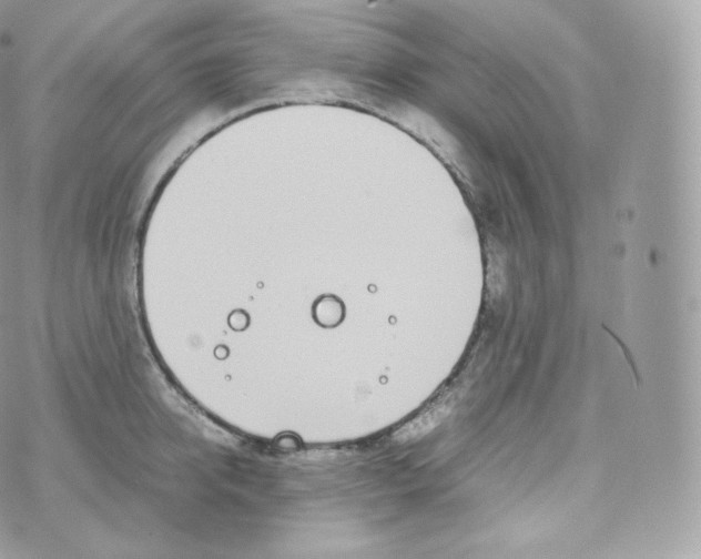 X0000070380950200606301918