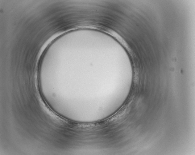 X0000070380955200606301918