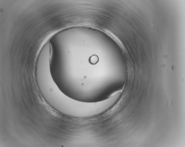 X0000070380956200606301918