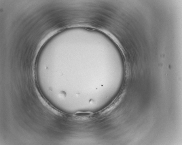 X0000070380957200606301918