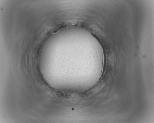 X0000070380961200606301917