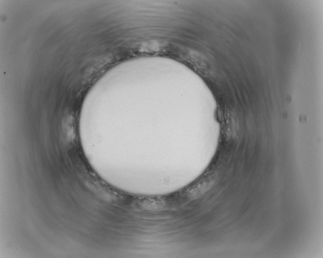 X0000070380962200606301917