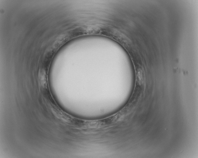 X0000070380963200606301917