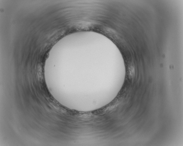 X0000070380964200606301917