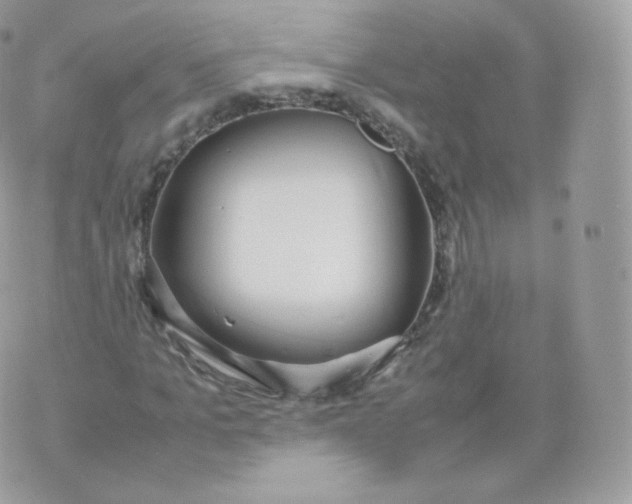 X0000070380965200606301917