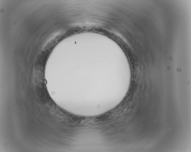 X0000070380967200606301917