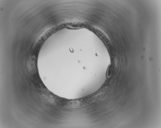 X0000070380968200606301917