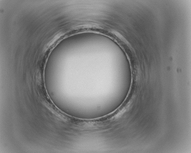 X0000070380969200606301917